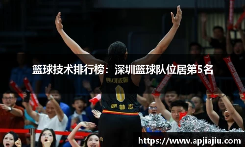 篮球技术排行榜：深圳篮球队位居第5名